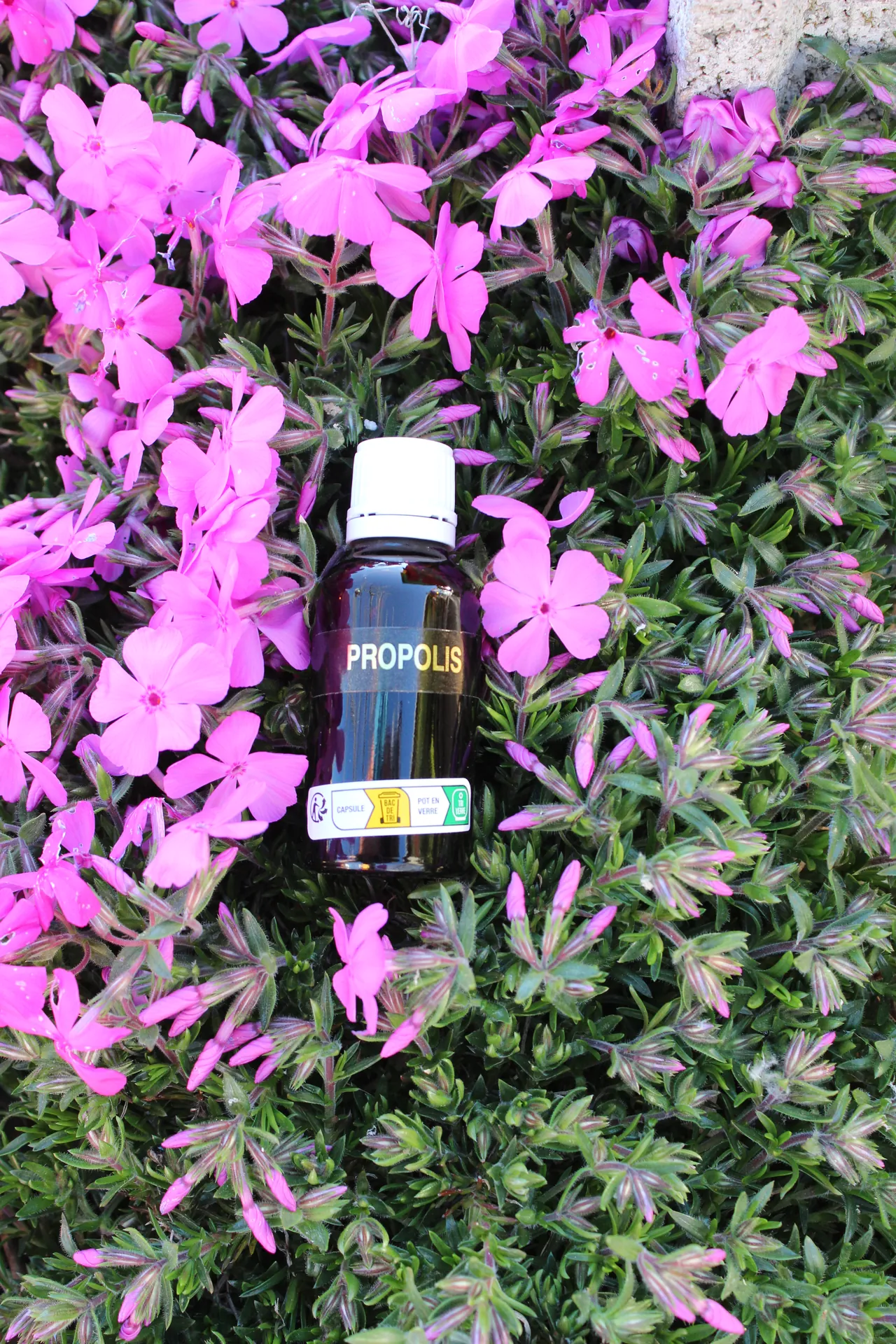 Alcoolate de Propolis — Jean-Charles Briot Montfalcon